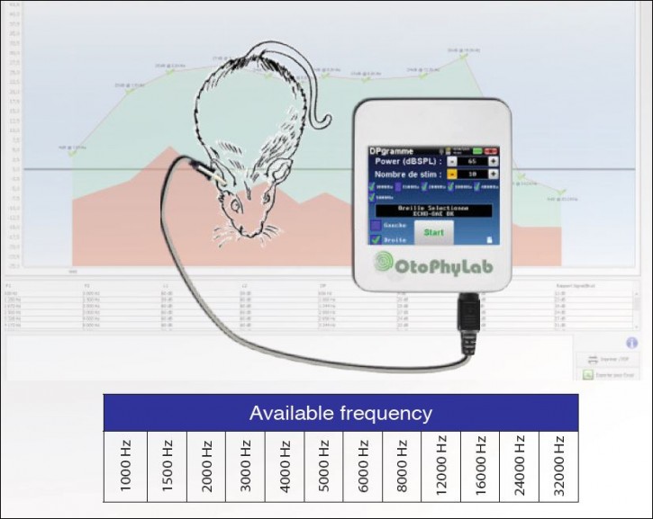 Echodia OtoPhyLab DPOAE-Modul