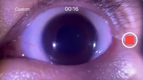 VertiMobile® - für iPhone-Modell 7/8