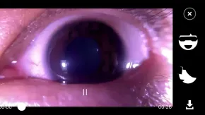 VertiMobile® - für iPhone-Modell 7/8